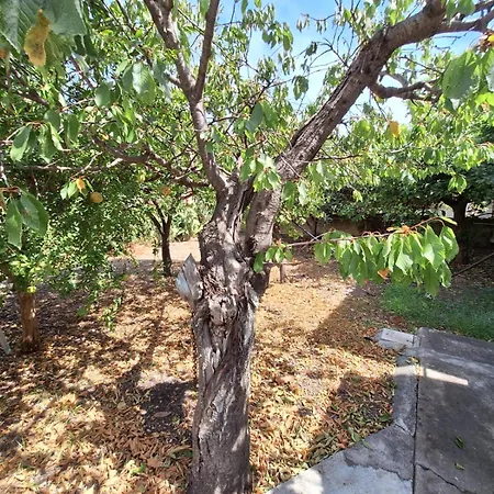 Villa Terrazza Sul Mare