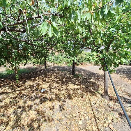 Terrazza Sul Mare Brucoli